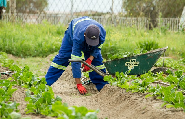 7 Produce Farm Safety and Worker Health Practices