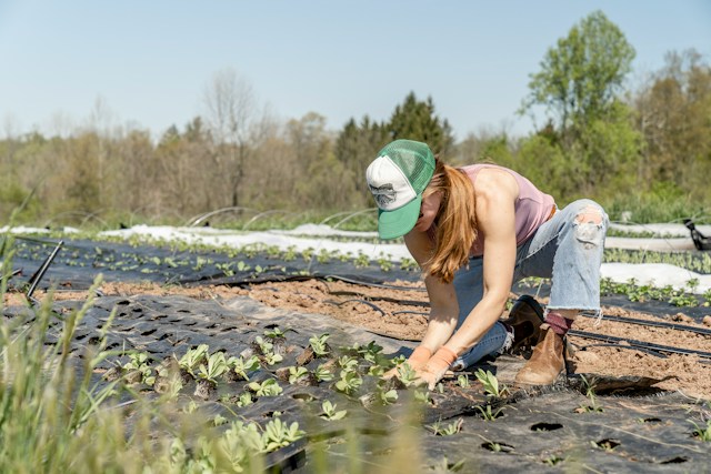 7 Sustainable Management Tips for Produce Growers