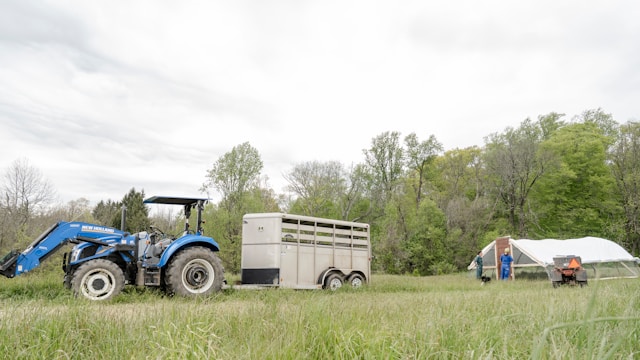 5 Volunteer Initiatives Supporting Sustainable Produce Farming